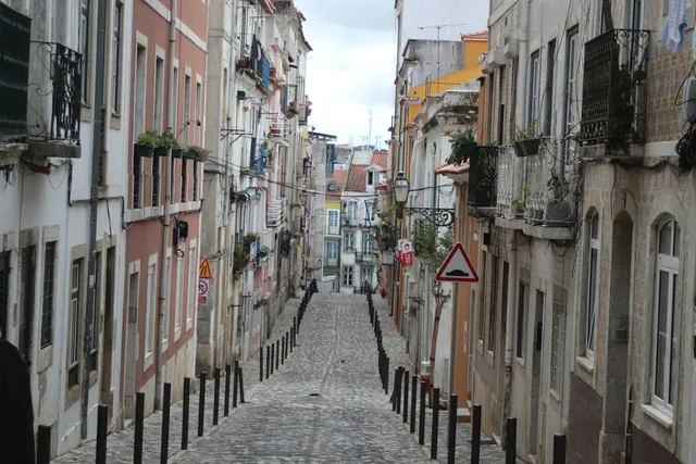 A sloping road surface running away downhill, the half of the hill question nobody asks about