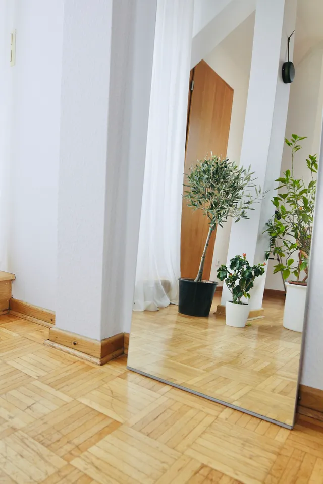 A bright hallway with a wooden floor, a plant and a doorway leading to another room