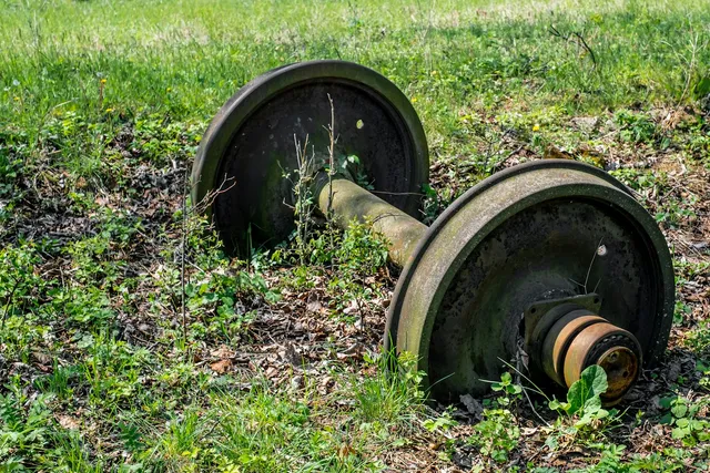 An old plate-loaded dumbbell lying in wet grass, the plates dark with corrosion and moss